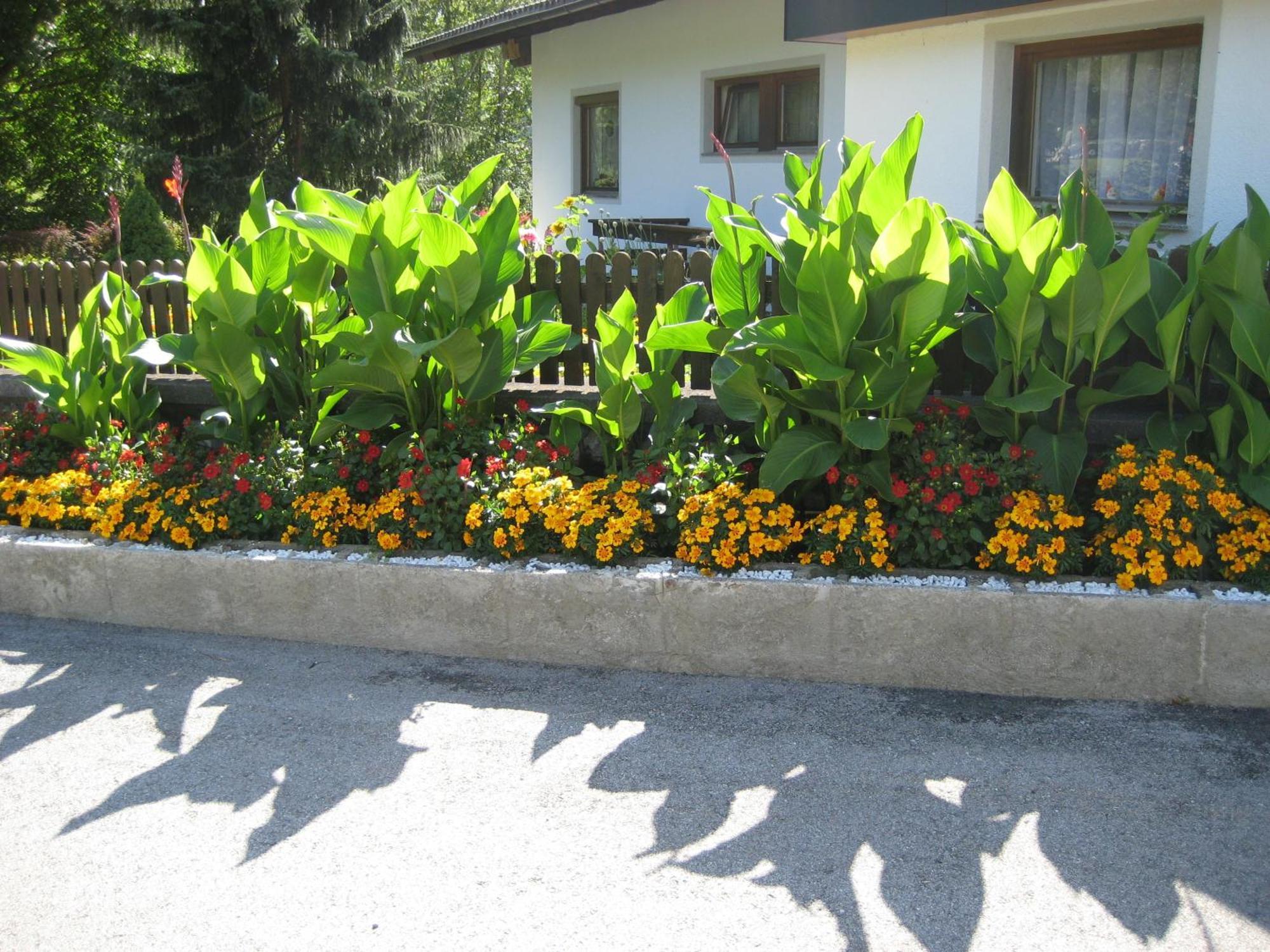 Ferienwohnungen Schleich Nassereith Exterior photo
